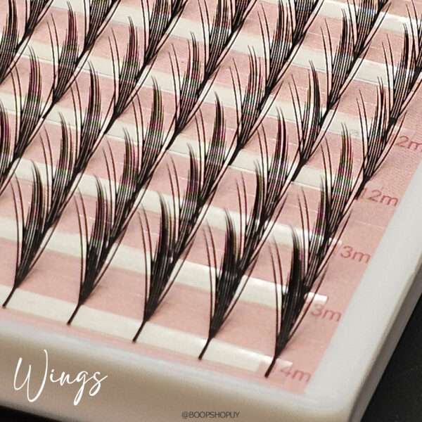Pestañas Wings Mix - Imagen 3