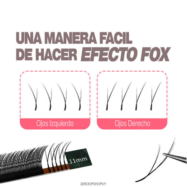 FOX YY - Imagen 4